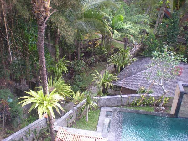 Igna Bungalows Ubud Extérieur photo